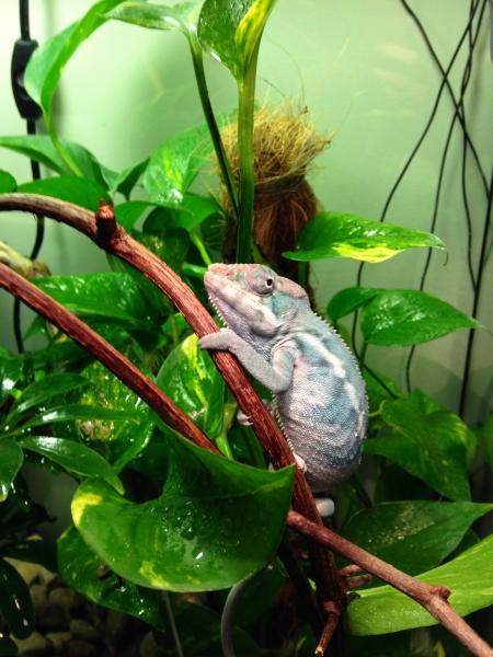 What a little stud :)