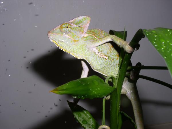 "What are you lookin' at?"