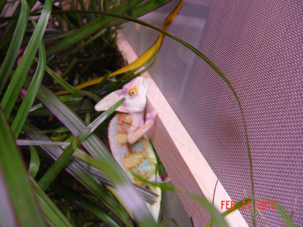 "What are you looking at camera man"?