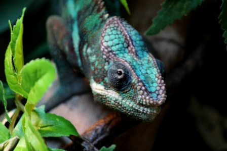 What are you looking at?