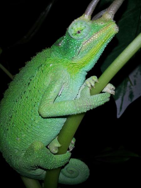 What are you looking at??