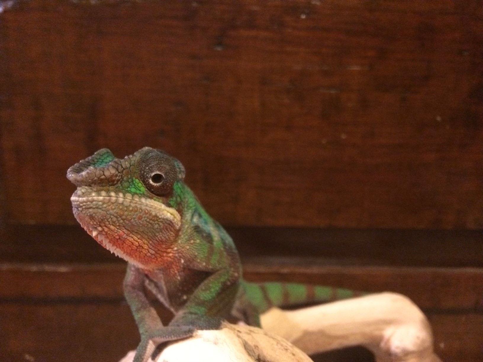 What are you looking at?