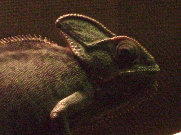 What you lookin' at Willis?