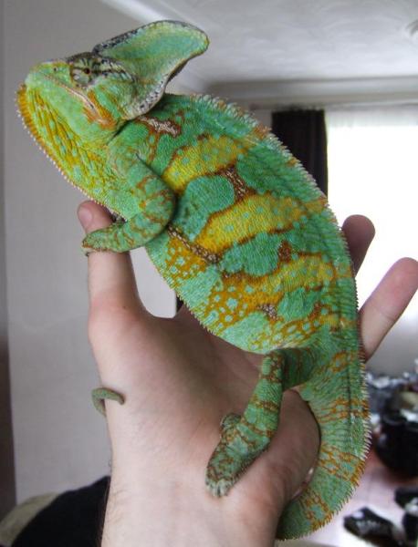 what you lookin' at?