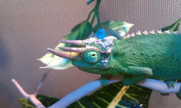 What you looking at!?