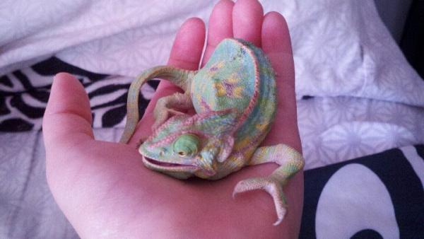 When I first got her