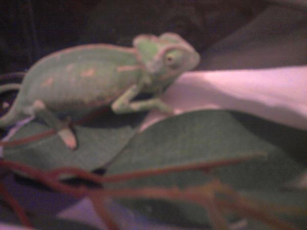 When i first got him <3