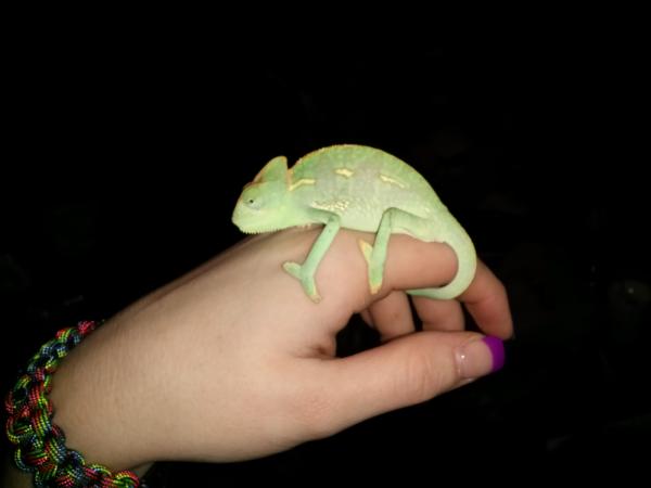 When pascal first got home:)