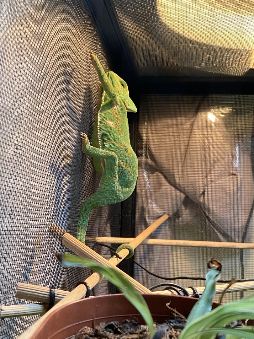 When your eggy and this is the only comfy position