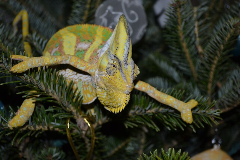 Where Are My Gifts!!!!!