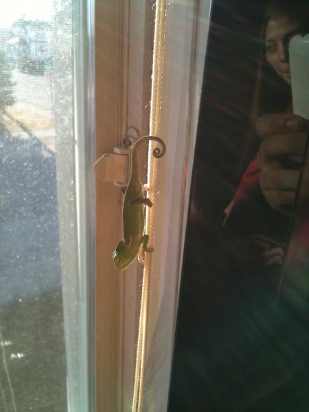 where we found rango the first time we lost him :S