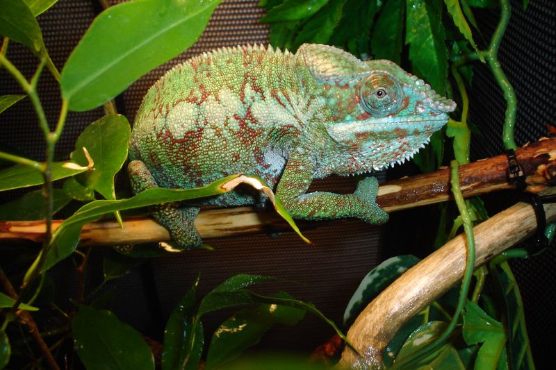 Where's my breakfast?