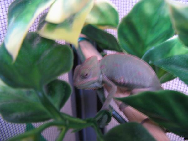 Who are you looking at?!