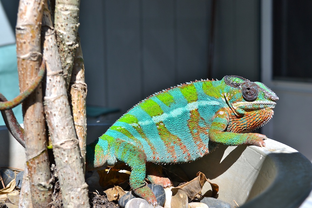 Who Else Loves Today