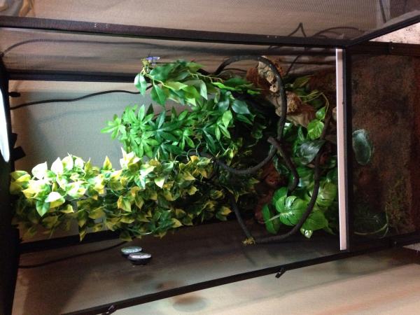 Whole enclosure