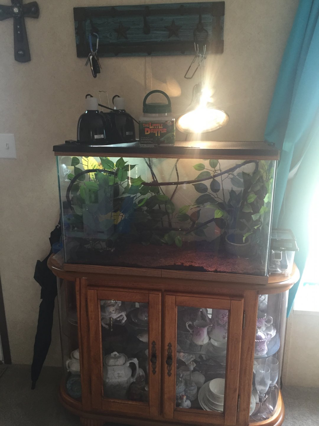 Whole set up