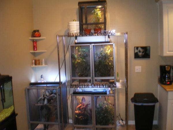 Whole set up
