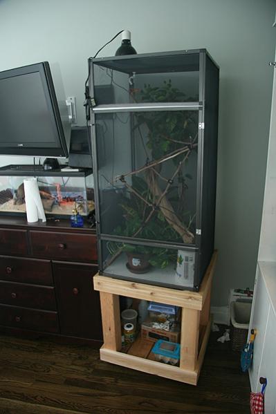 Whole set-up