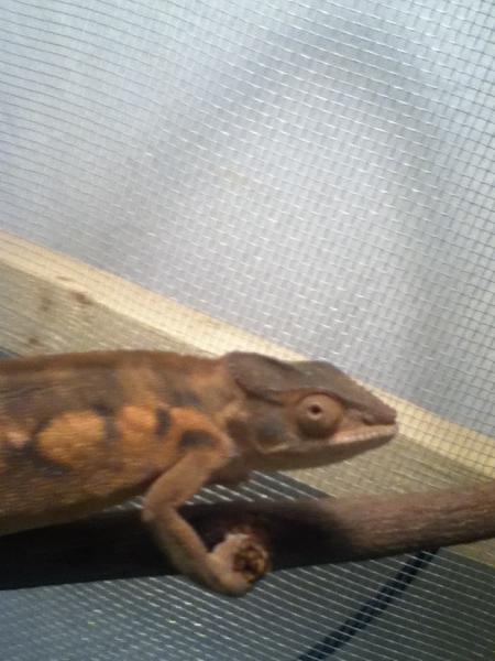 woke sunshine up and pissed her off, lol
