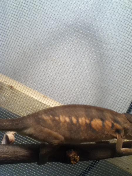 woke sunshine up and pissed her off, lol