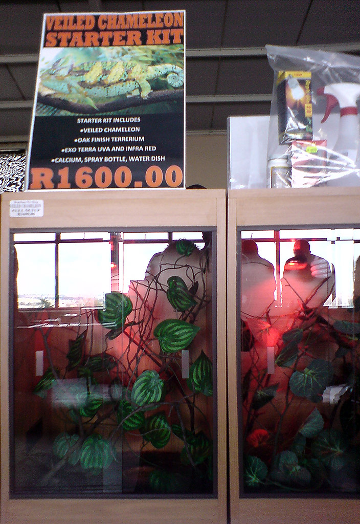 Wrong veiled starter kit