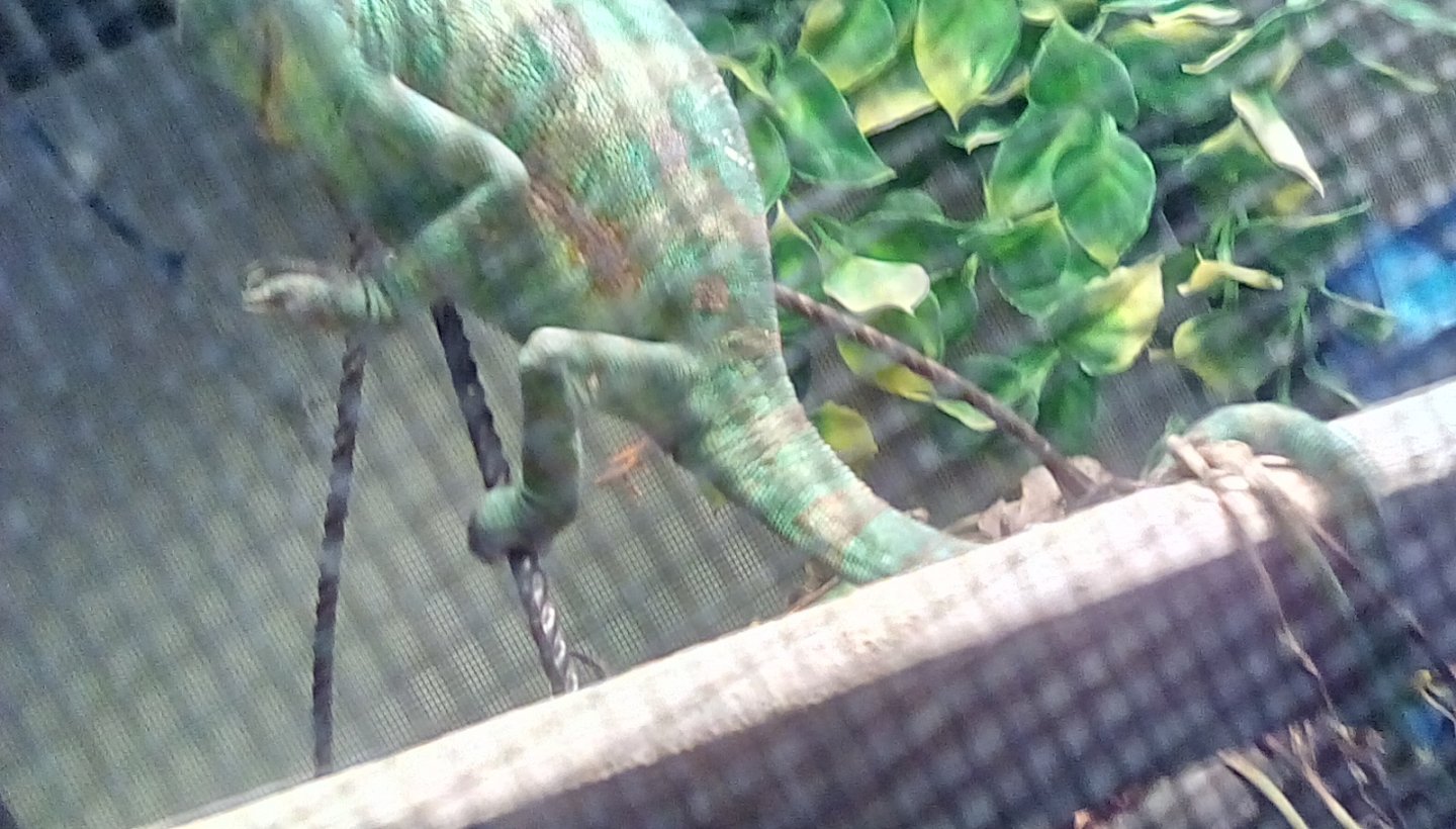 You can barely see a little bump