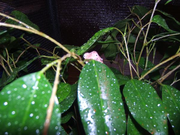 You can't see me!