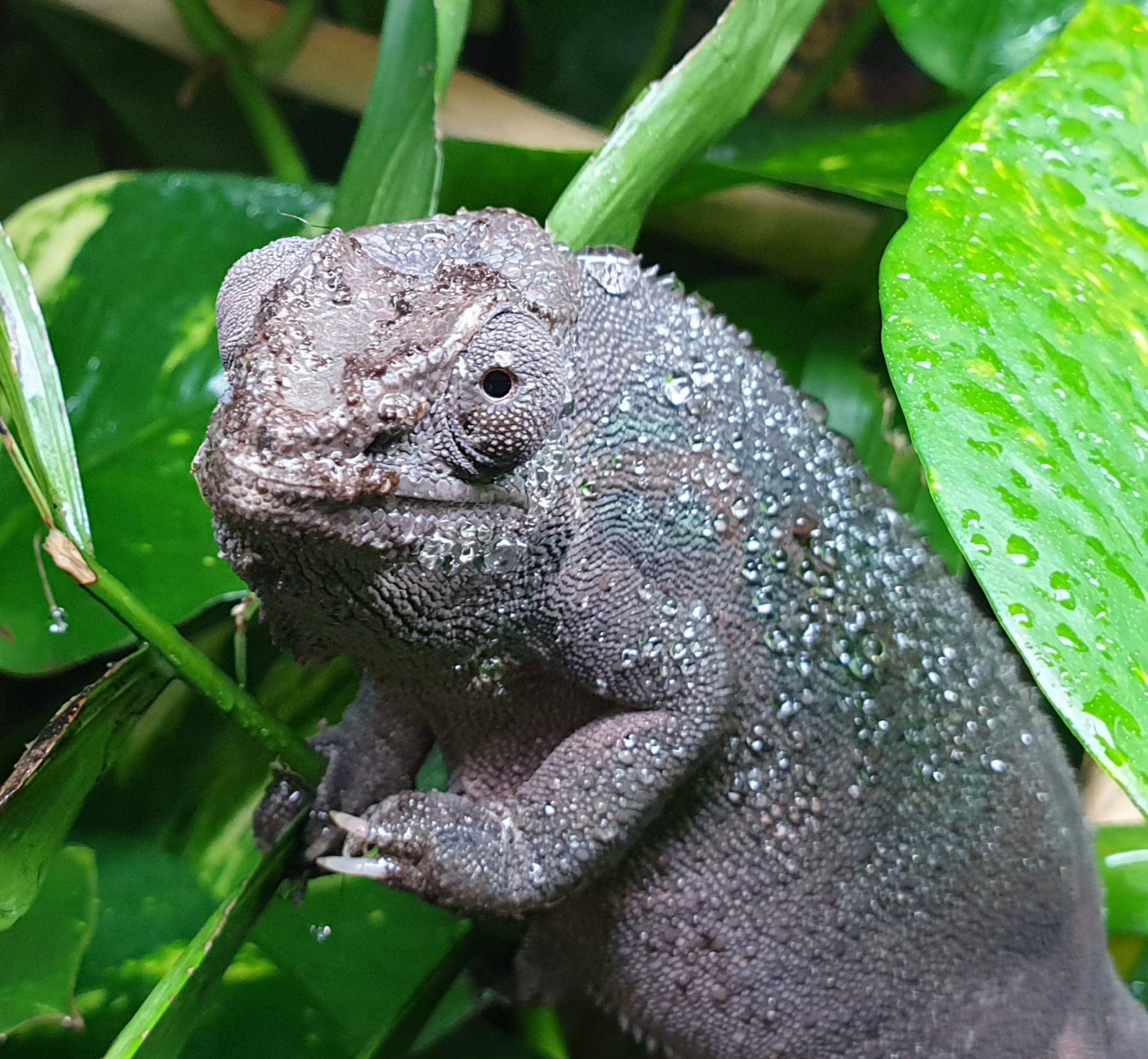 You say YOU had a hard day!