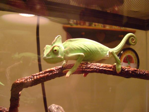 Young, innocent & happy, not the big hissy crab I am today . . .