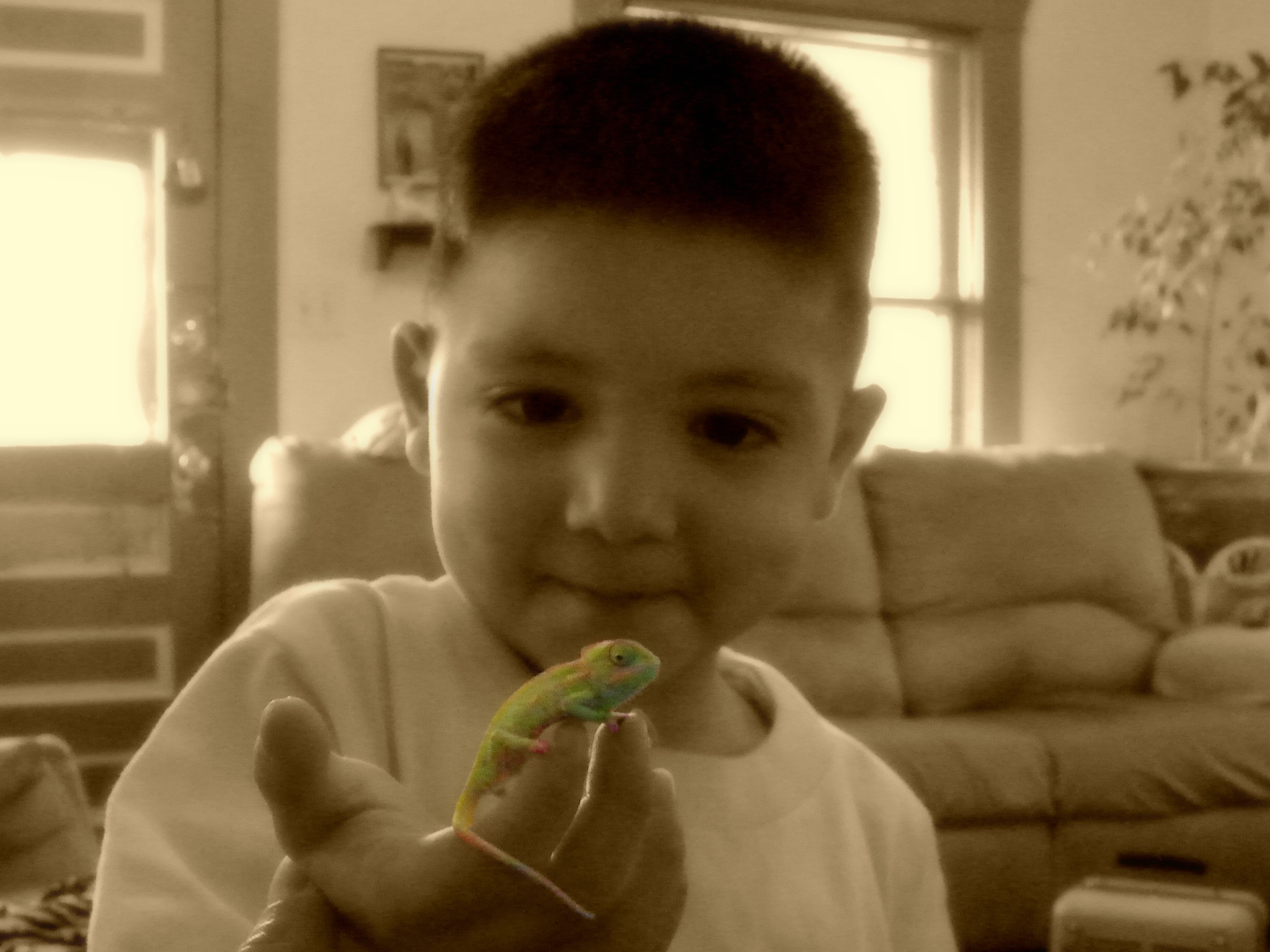 Zay And Our Little Chameleon