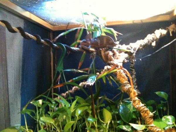 Zems fav. hang out spot