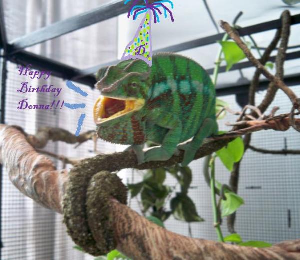 Zephyr's favourite day
