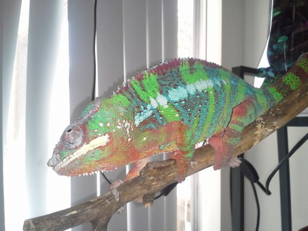 Ziggy coming down to visit and share breakfast