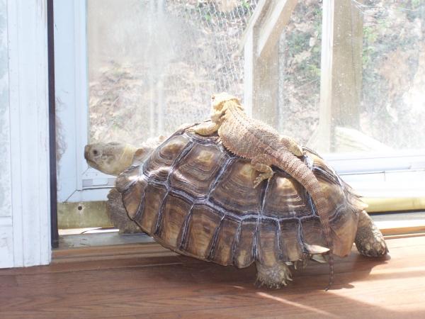 Zip trying to get the better seat.