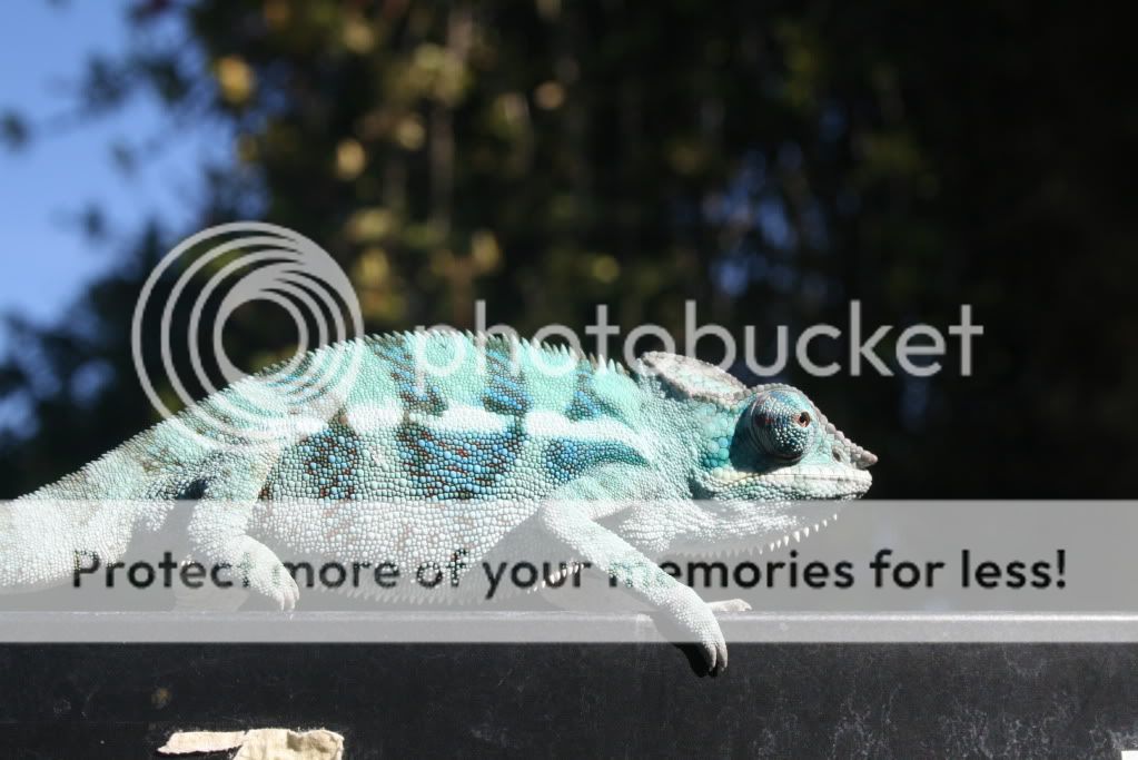 eospics9-19-09004-17.jpg