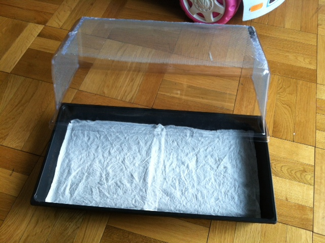 Pic9_zps3a776633.png