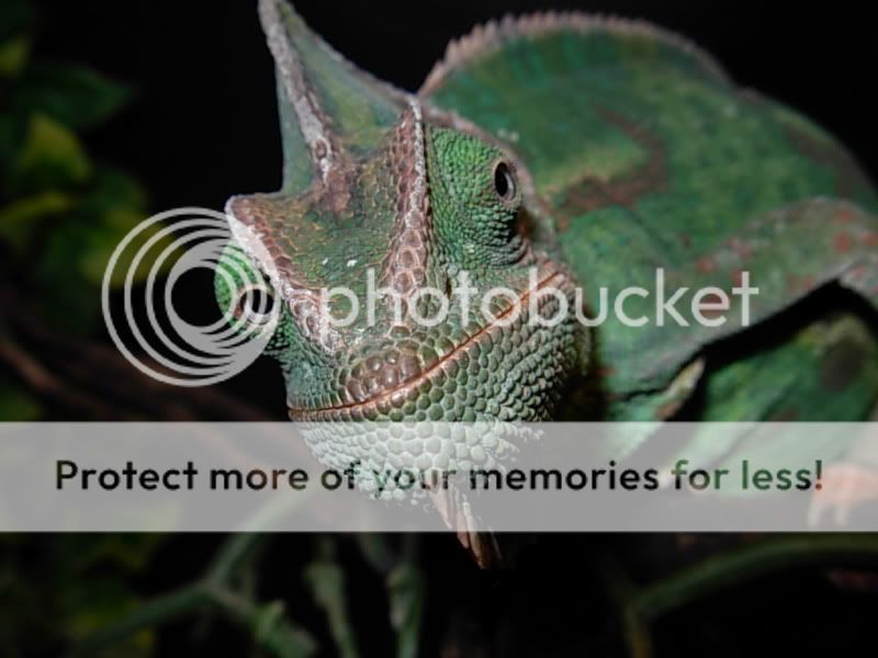 DSCN8149.jpg