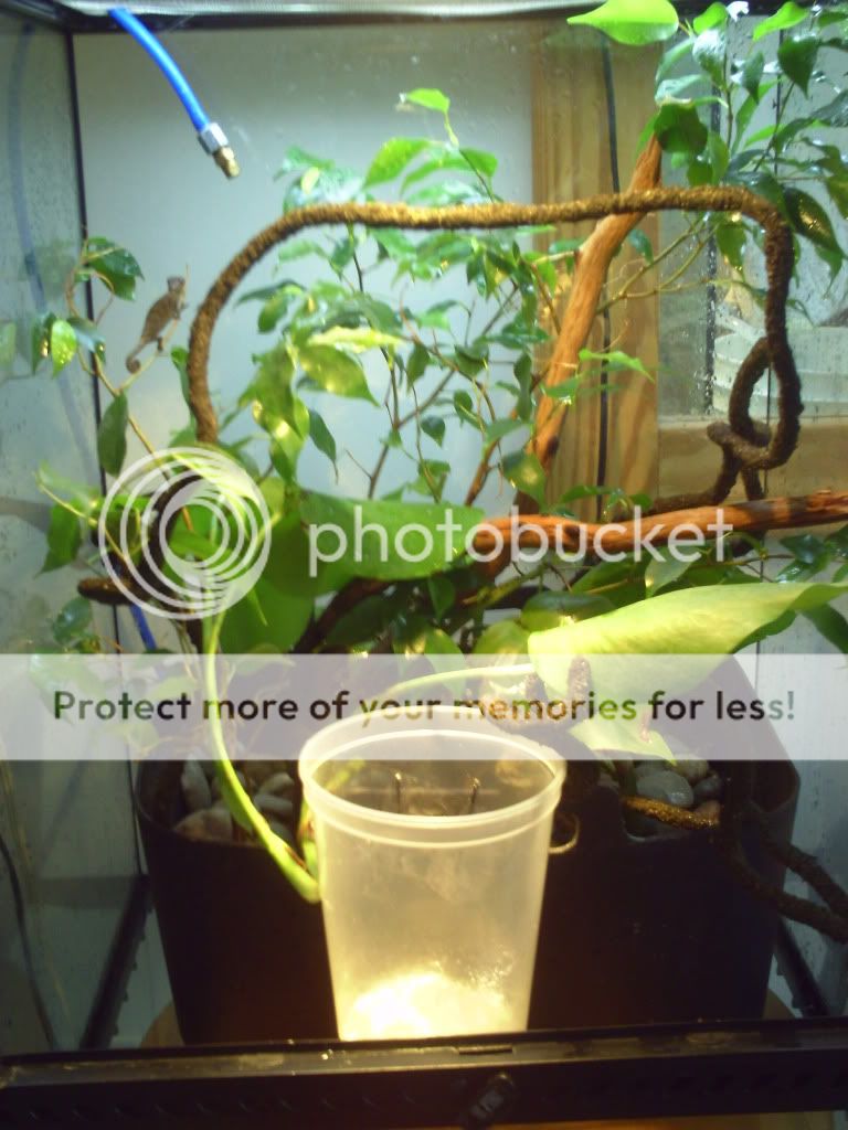PICT0035.jpg