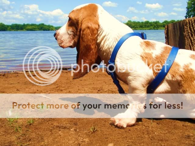 Barneyafteraswim.jpg