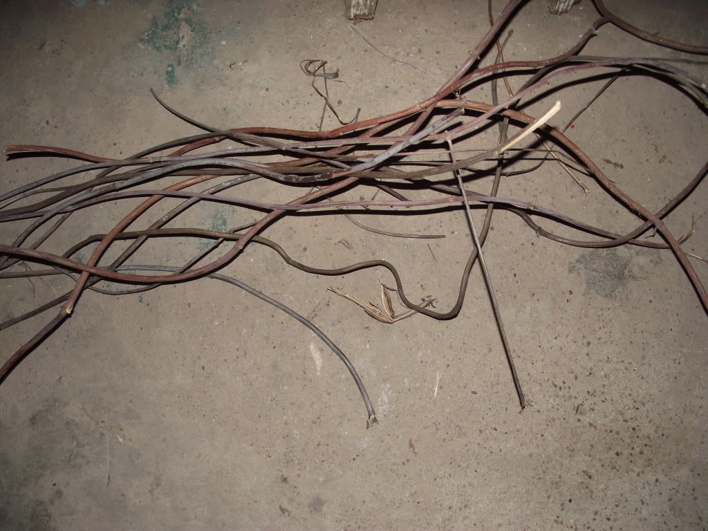 002-5.jpg