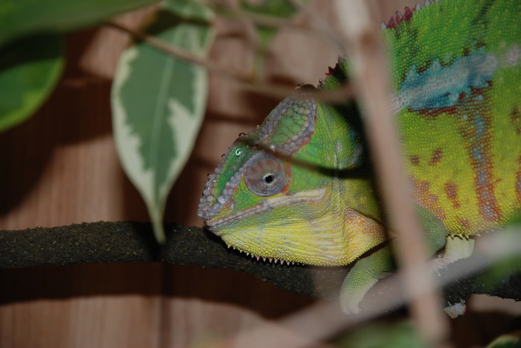 DSC_0272.jpg