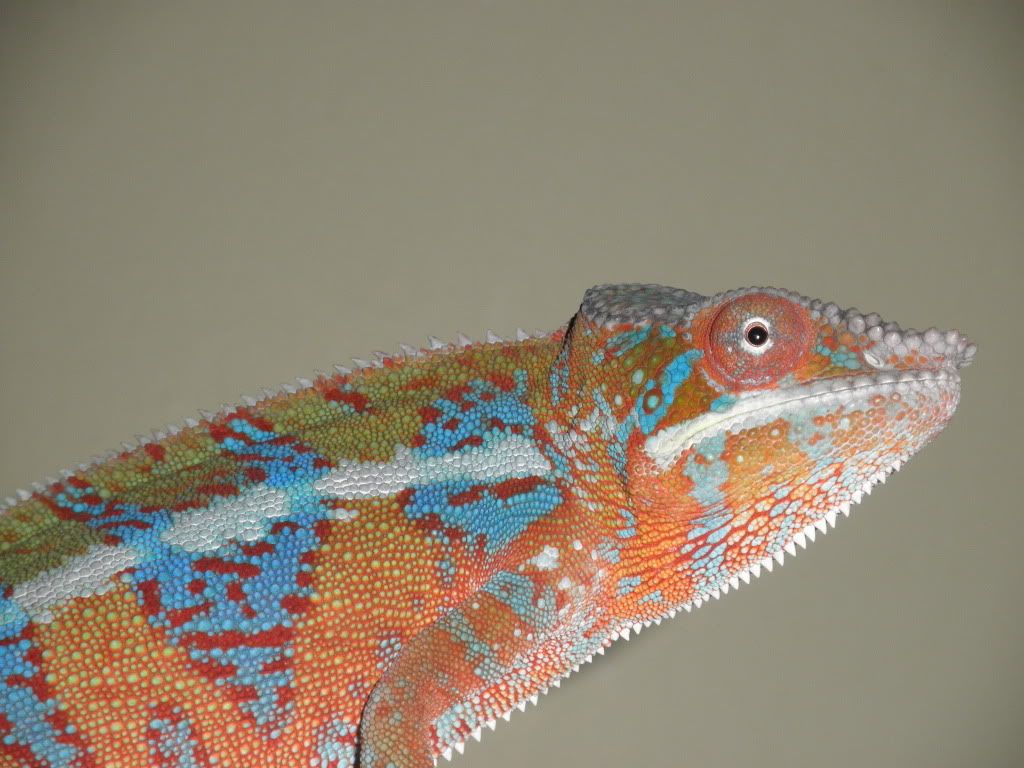 Archimedes3-26-11016.jpg