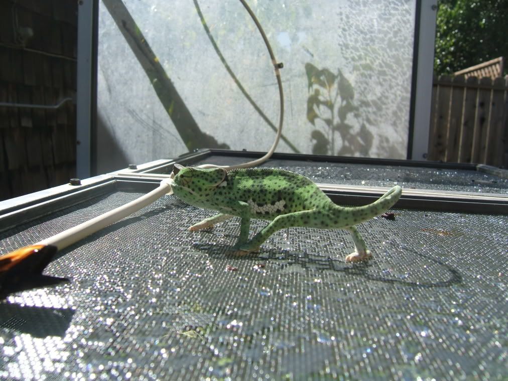 DSCF7776.jpg