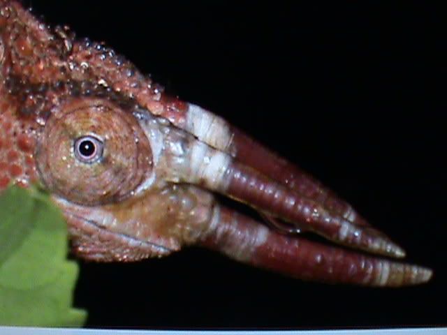 DSC00001.jpg