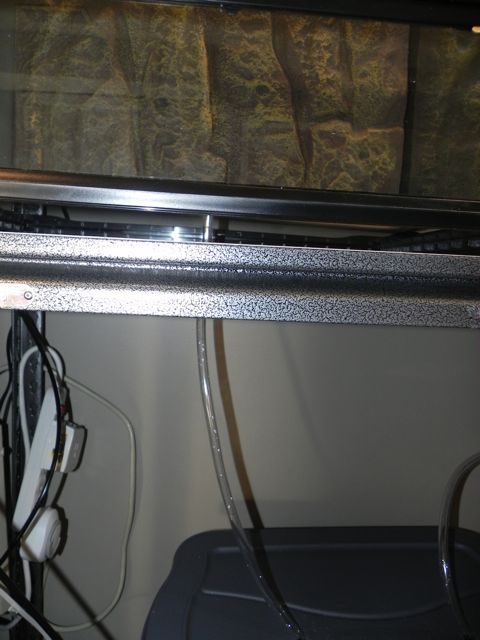 a3_zpsaf8d7918.jpg