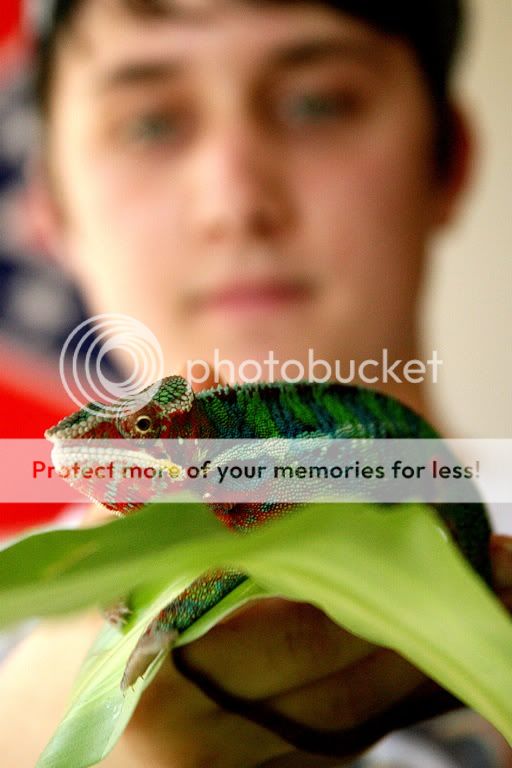 8058230d.jpg
