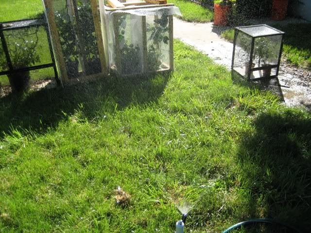Picture113675.jpg