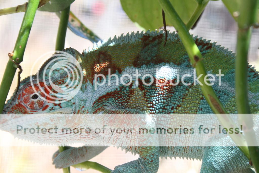 outsidepics009.jpg