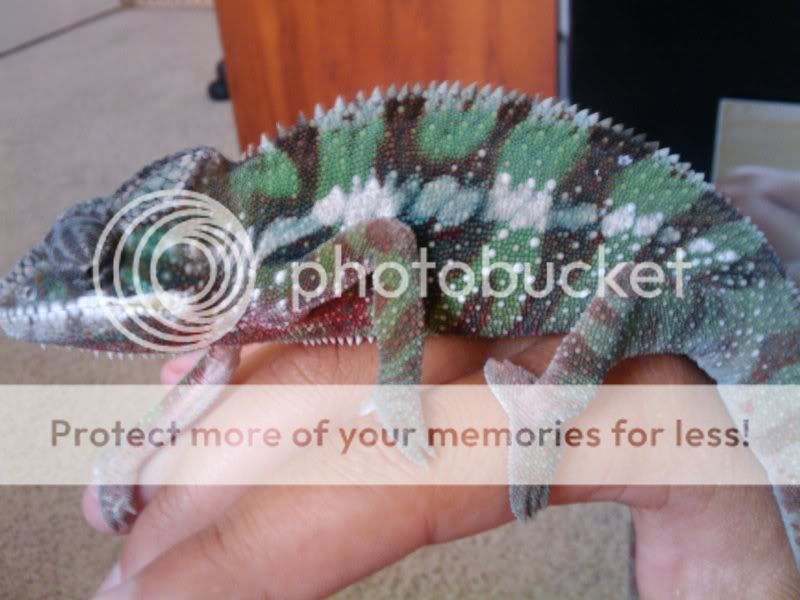 2010-07-25175936.jpg