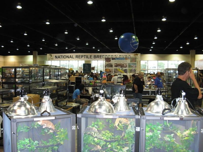 DSCN4957.jpg